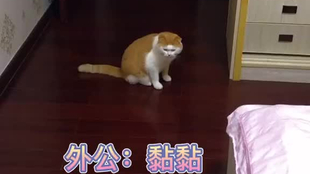b99a7b299ec7476f76063ed5a5cc89a96e80f69b.png@310w_174h_1c_100q.jpg