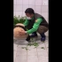 大熊猫福宝 让姜爷爷在节目上夸耀的1300万点播量的视频