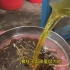 实拍：广东河源茶籽榨油全过程，看下客家人是怎么加工茶油的