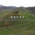 纪录片《静静的草原》| 在4500米高原，播撒希望的种子