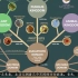进化树    生命进化与分类（Evolution & Classification of Life）