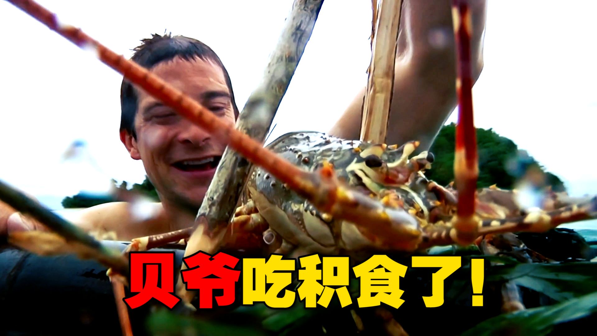 荒野求生最严厉的父亲！烤猪、龙虾吃到爽 挨饿根本不可能！《荒野求生》