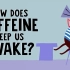 【TED-ed】咖啡因是如何让我们保持清醒的？@柚子木字幕组