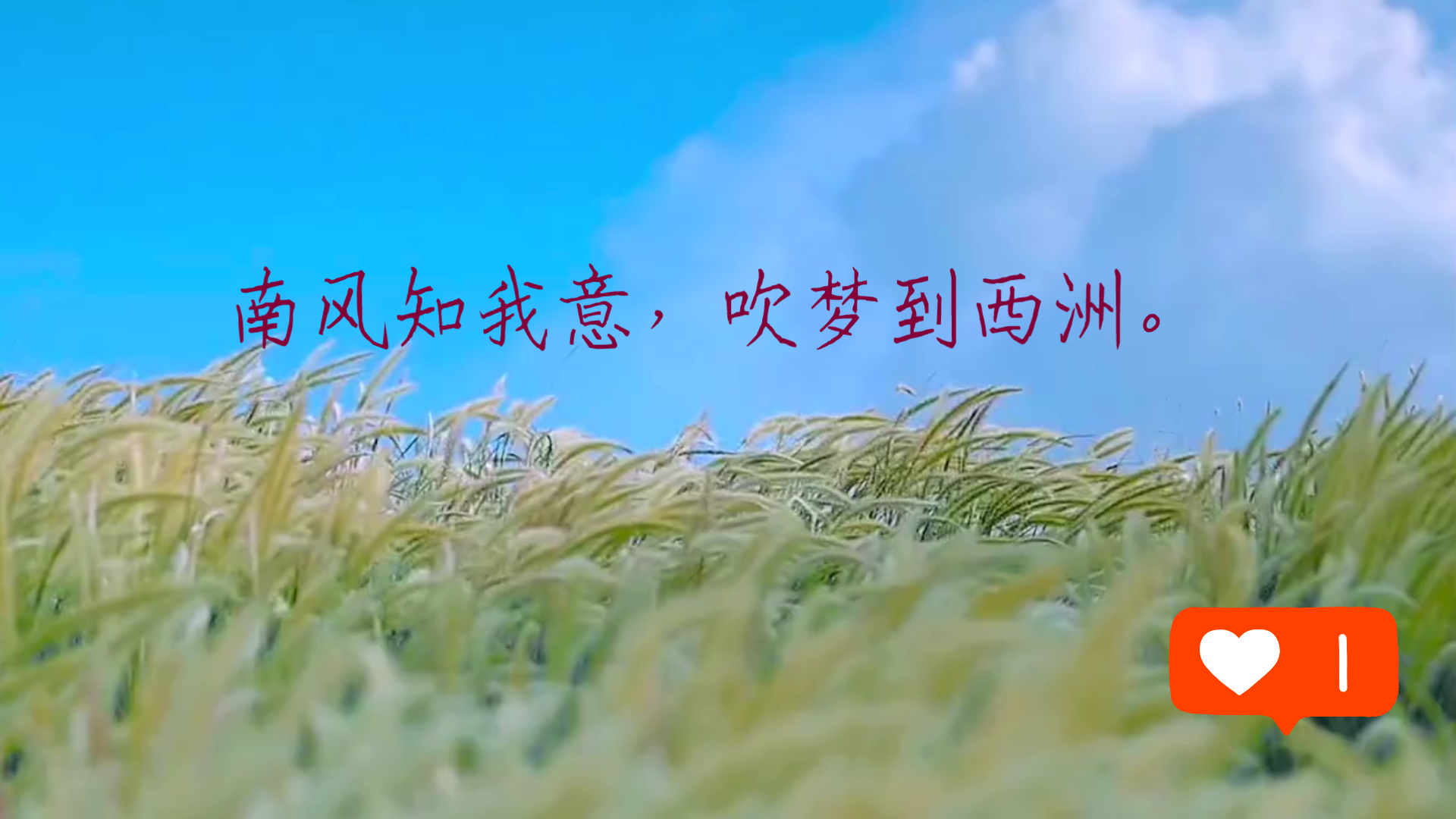 南风知我意吹梦到西洲