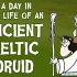 【TED科普】古代凯尔特人德鲁伊生活中的一天