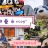 樱花老师の成都重庆vlog～遇见可爱的熊猫～和小伙伴面基～不吃辣星人挑战麻辣火锅