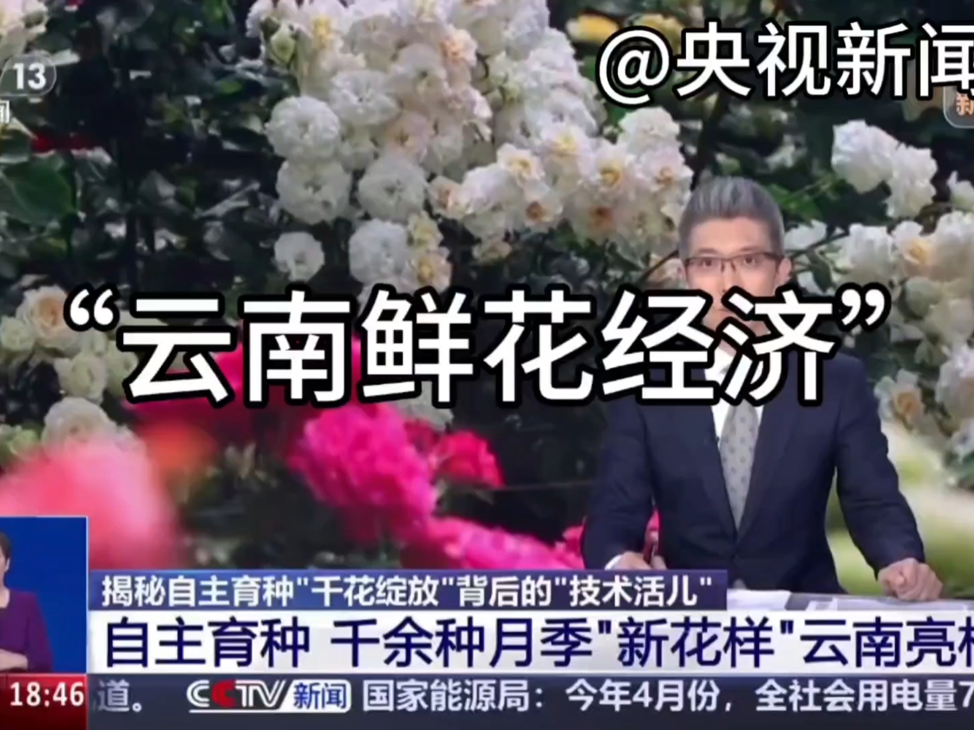 地理农业热点‖“自主育种➕企业”模式是如何助力农业发展?