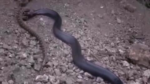 bacbbe4a9a32d353cd1d091b8cd402b4227b2451.jpg@480w_270h_1c