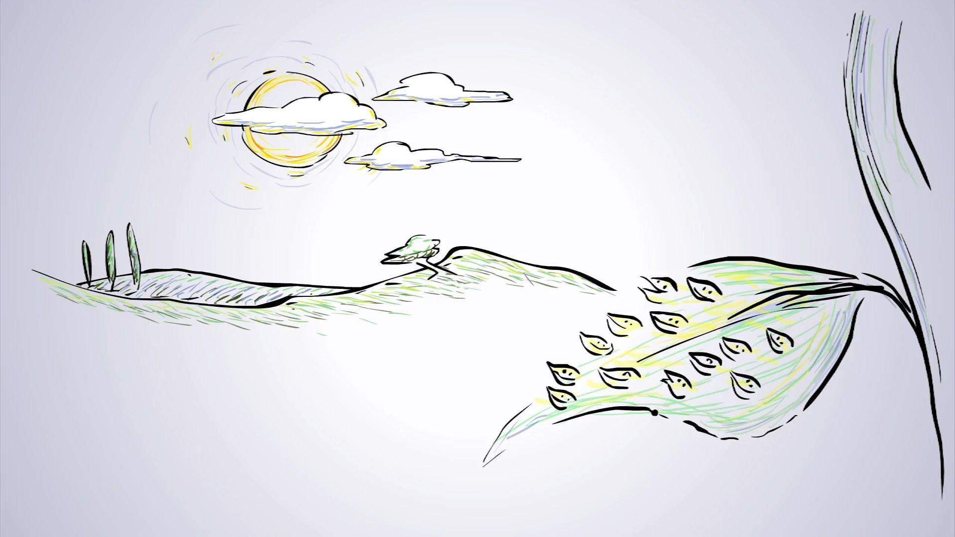 植物如何辨别时间？【TED-Ed】