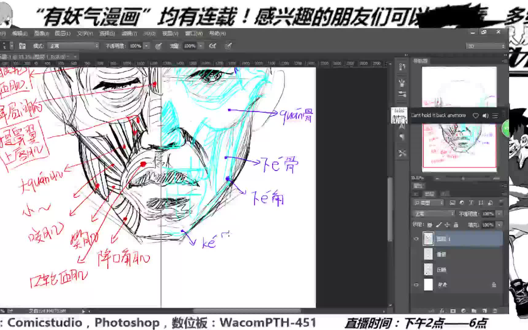 点赞 详细讲解了面部肌肉骨骼的基本结构以及肌肉与脸部皱纹的关系,并