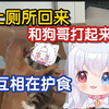【夏露露】上厕所回来，和狗哥打起来了，互相都在护食