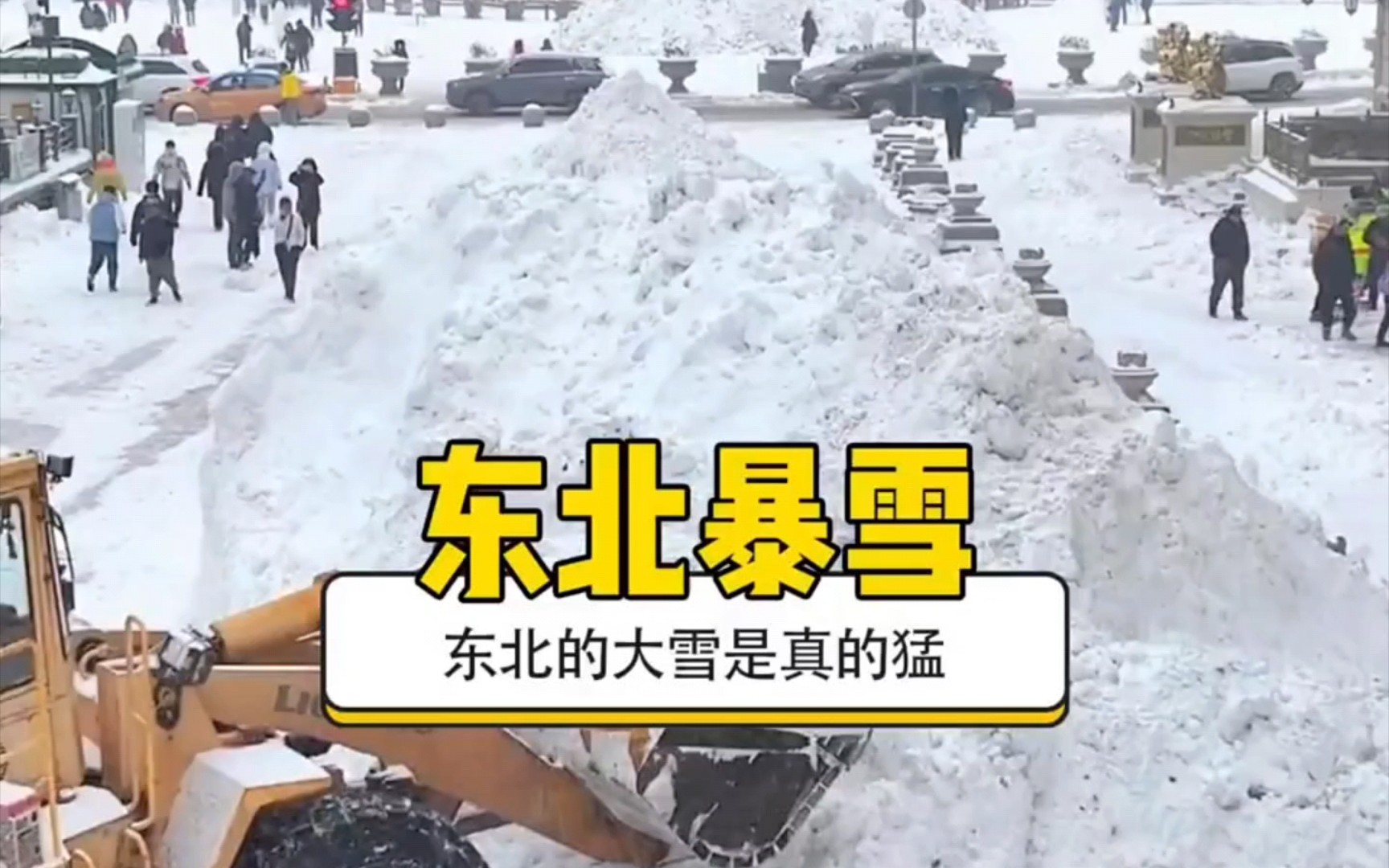 东北暴雪到底有多猛 ?＂老铁笑一笑 ＂东北下雪哔哩哔哩bilibili