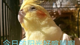bb0c03e961630b592a54866e5ac944bbfd386afd.jpg@280w_158h_1c_100q.jpg