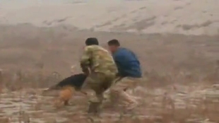 怎么教狗狗定点大小便视频 bb3f51566d40157af836e01aa9273aae33105ee3.jpg@310w_174h_1c_100q.jpg