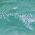 【空镜头】 海浪海洋大浪大海 视频素材分享