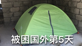bb678478c0ef515add2a2369ee10b42b7da619eb.jpg@280w_158h_1c_100q.jpg