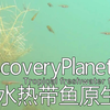 淡水热带鱼原生地系列Tropical freshwater fish （1）5P