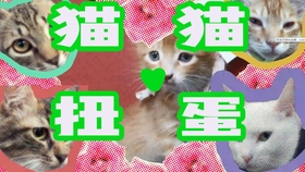 怎么把肉转移给别人步骤 bb86628231ae4d681d2007d56014c535bd9ef467.jpg@280w_158h_1c_100q.jpg