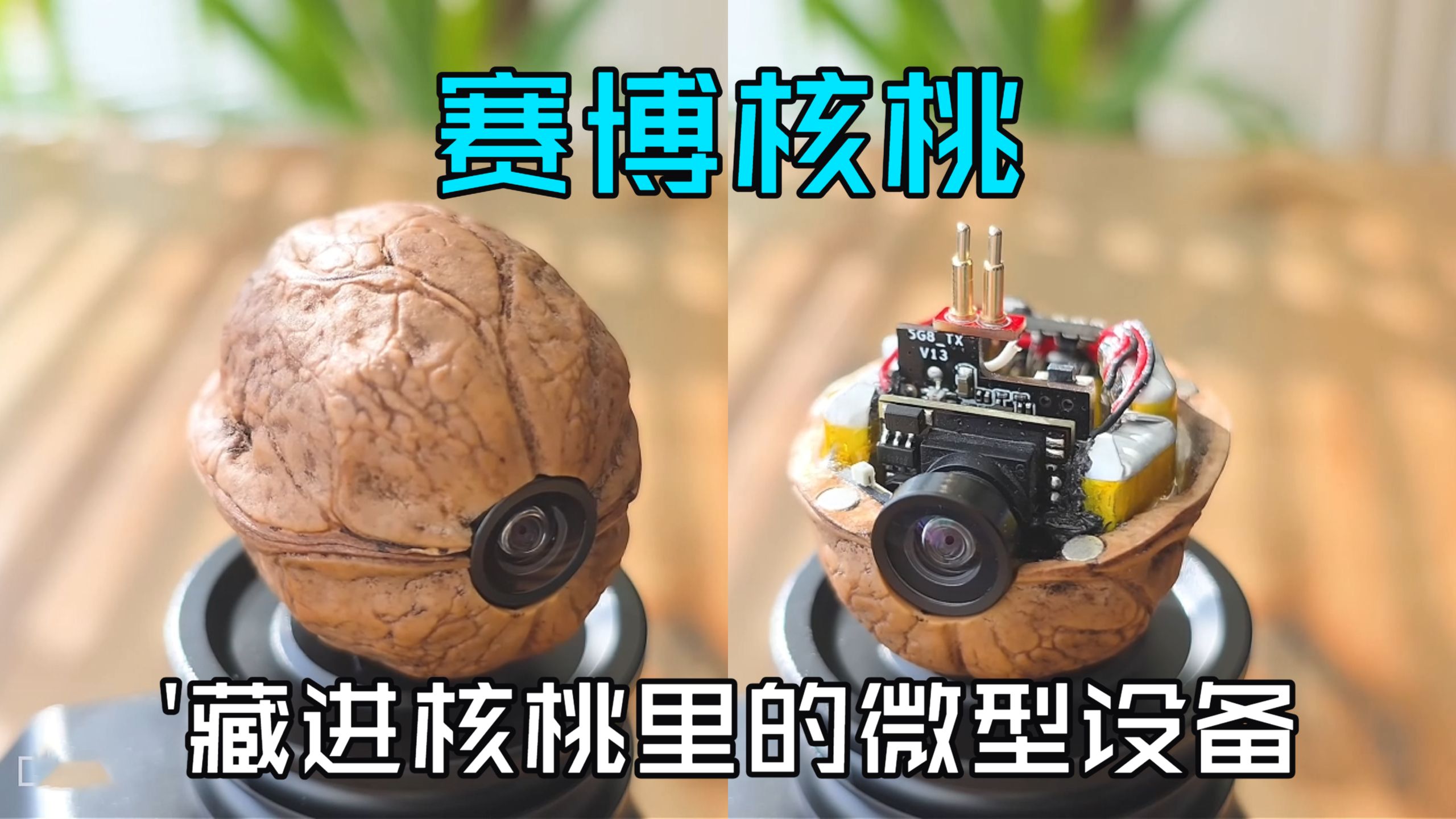 “赛博核桃”完全融入环境的“微型相机”