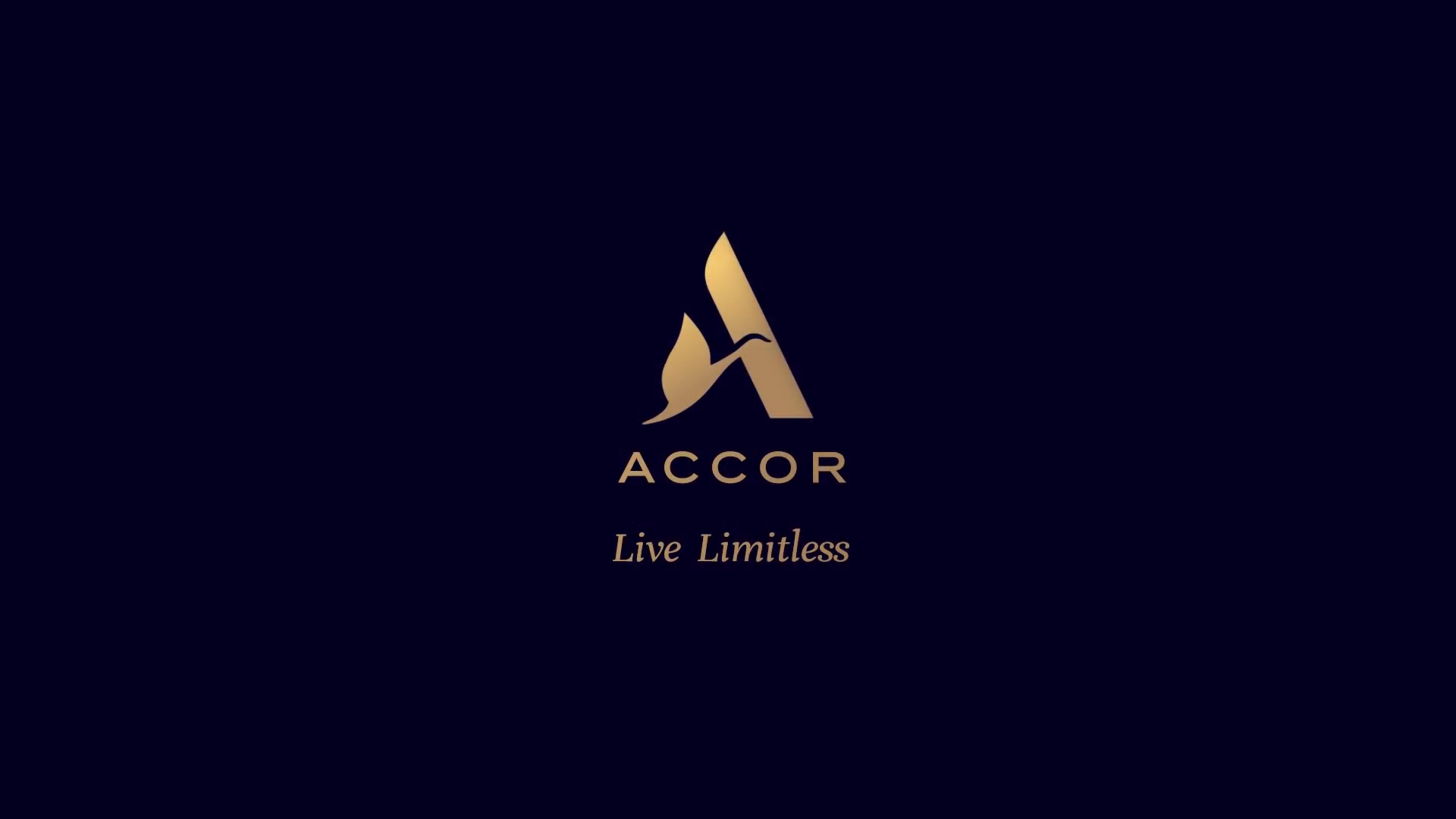 Accor Live Limitless_哔哩哔哩_bilibili