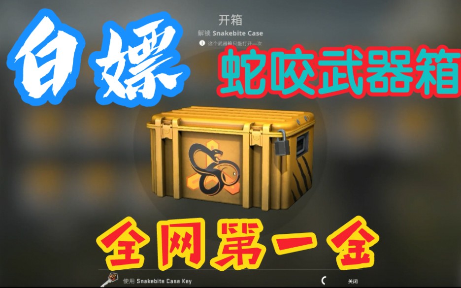 csgo蛇咬武器箱全网第一金快来白嫖奥利给粉丝哭求新武器箱沙鹰ak没