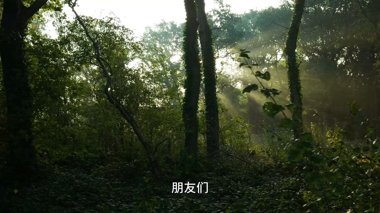 道德经里早已揭示了全部的福报密码！为何你越想得到的，就越是得不到呢？