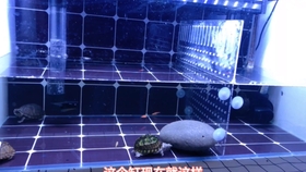 鱼多久换水最好 bbb0f9b273c0693c1970c803af382f63a03e8a89.jpg@280w_158h_1c_100q.jpg