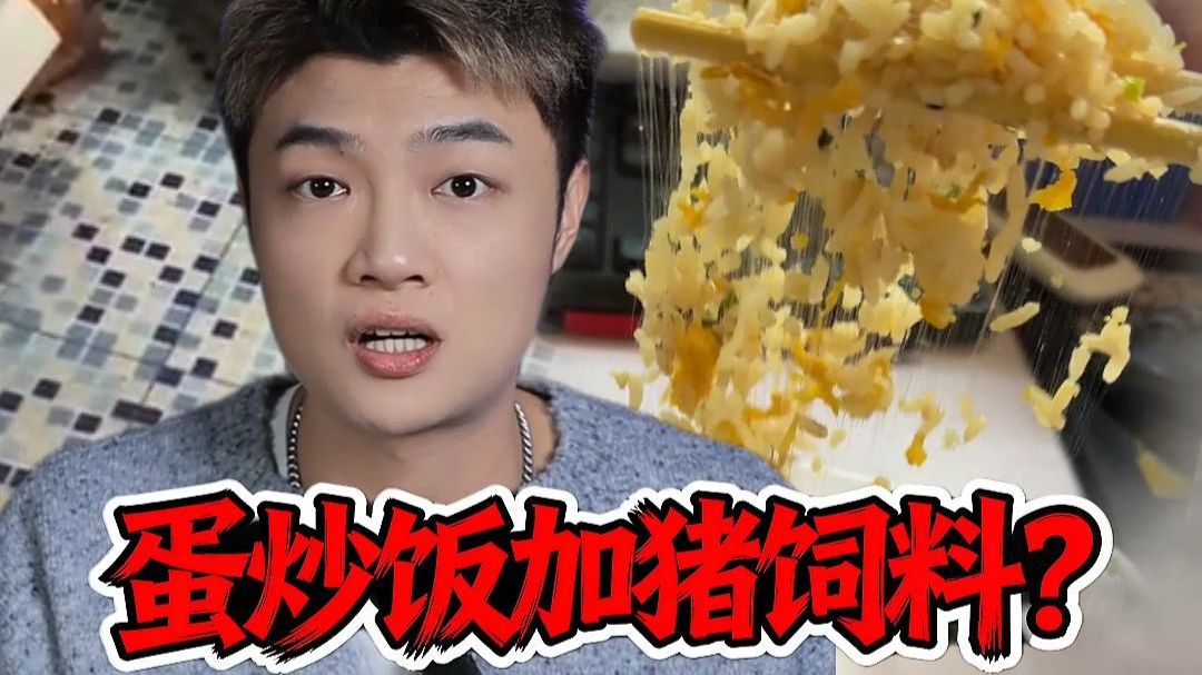 别再妖魔化蛋炒饭了！ 猪是清白的！