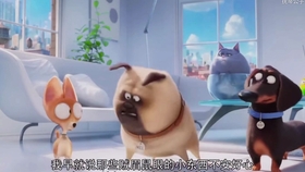 # Mel on Secret Life of Pets: Unraveling the Charismatic Charm of the Adorable Pug