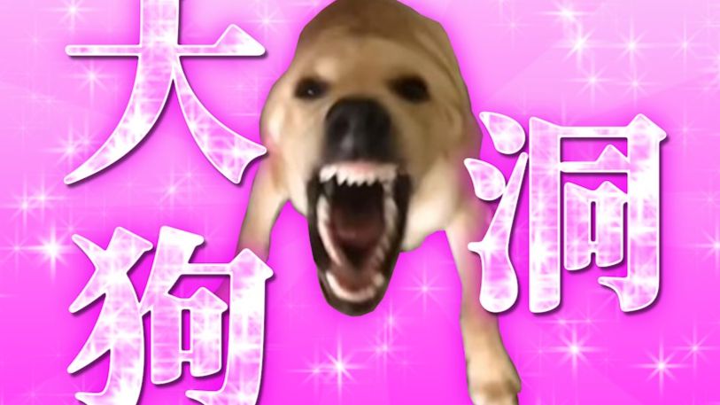 ❤️ 大 狗 洞 ❤️