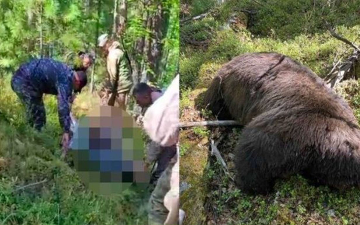 大意了！俄国男子狩猎棕熊以为毙命，结果被熊一爪打中同归于尽