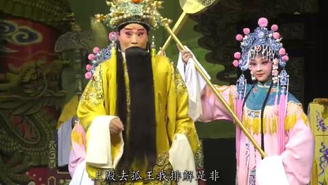 豫剧打金枝对唱,豫剧打金枝对唱选段
