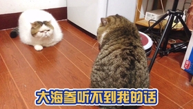 bc157b3c60f045bd732b341a3ff28df596a5aad6.jpg@280w_158h_1c_100q.jpg