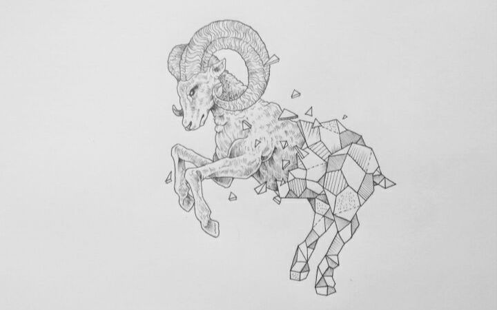 【手绘】山羊_绘画_生活_bilibili_哔哩哔哩