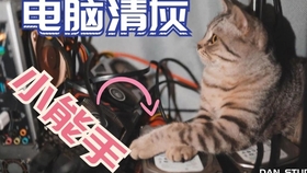 bc250595bc69602348cf1cd992fc0ce910f9ba05.jpg@280w_158h_1c_100q.jpg