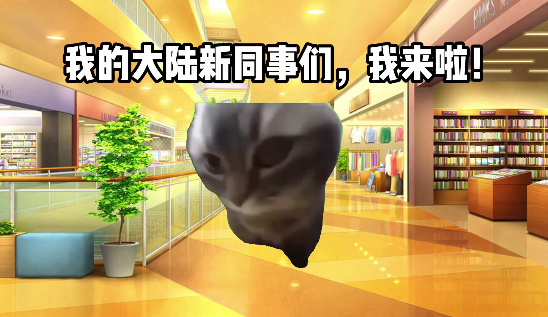 【入职篇】台湾小哥到大陆上班，但是只干了10天｜猫meme