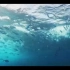 【led背景视频】f114 海底波涛汹涌暗流涌动水底波浪浪花海洋鱼类鱼群视频实拍