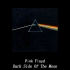 Pink Floyd -
