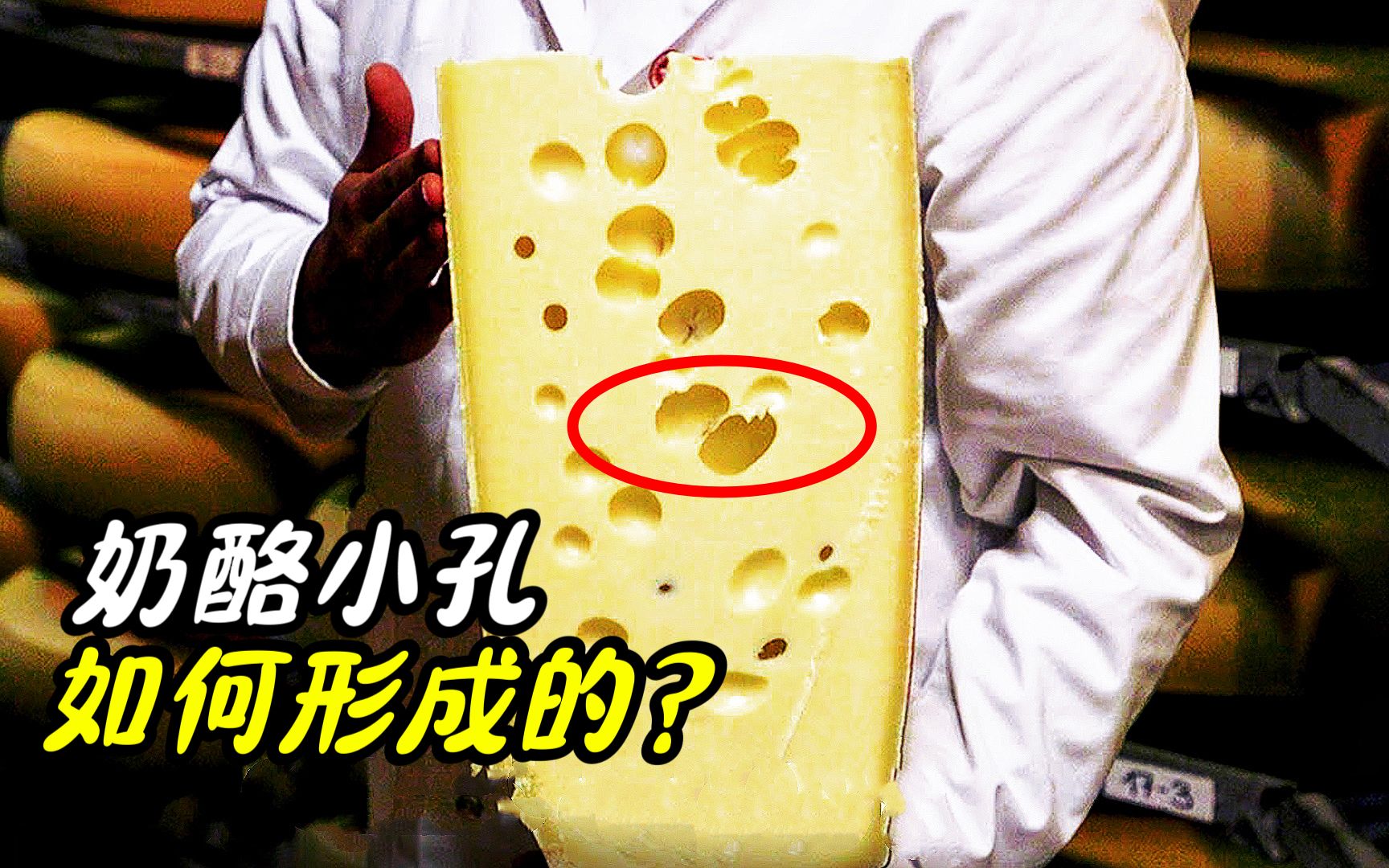 奶酪上为什么有那么多的洞？ 它们是怎样形成的？