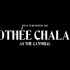 【Timothée Chalamet】甜茶恐怖短片《食人魔》