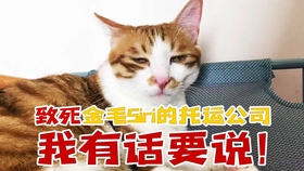 bc67e1c87e39b2473b0066d25c221e0166763583.jpg@280w_158h_1c_100q.jpg