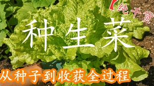 bc75a76a755f319c571a902b7d2d5125cbf94fe4.jpg@310w_174h_1c_100q.jpg