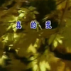 《真的我》怀旧经典老歌经典歌曲MV - 毛宁