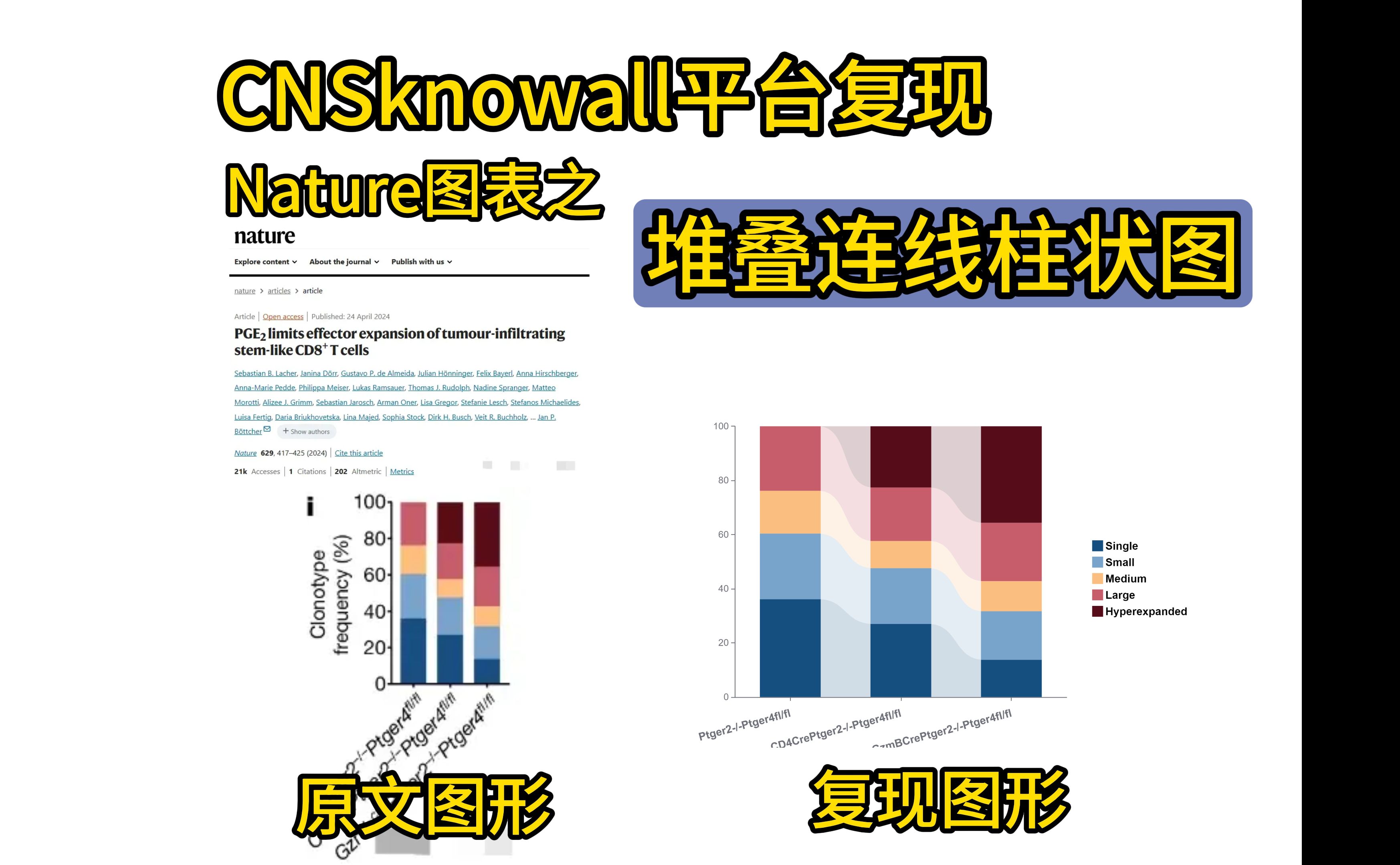 导师：下次组会汇报必须把你的堆叠柱状图改成这种！！！超越Origin、GraphPad prism和R语言的作图神器来喽