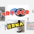 qRT-PCR提RNA（RNA提取的大致过程）