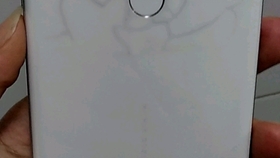 bcbd8c3ca5bd561284ba4cbf4d1aa0f1b9323162.jpg@280w_158h_1c_100q.jpg