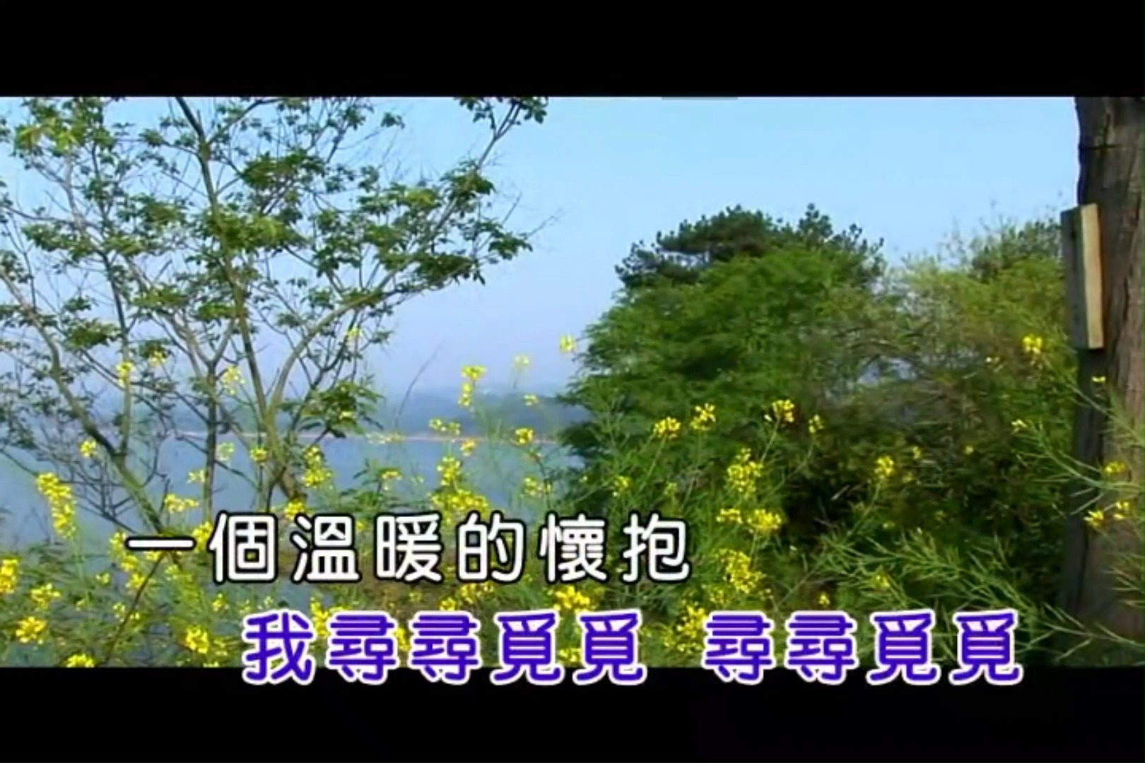 我是一只小小鸟(Ktv伴奏版)-凤凰传奇