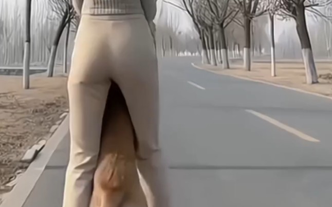 It's all about riding a dog in a crappy gear, really?