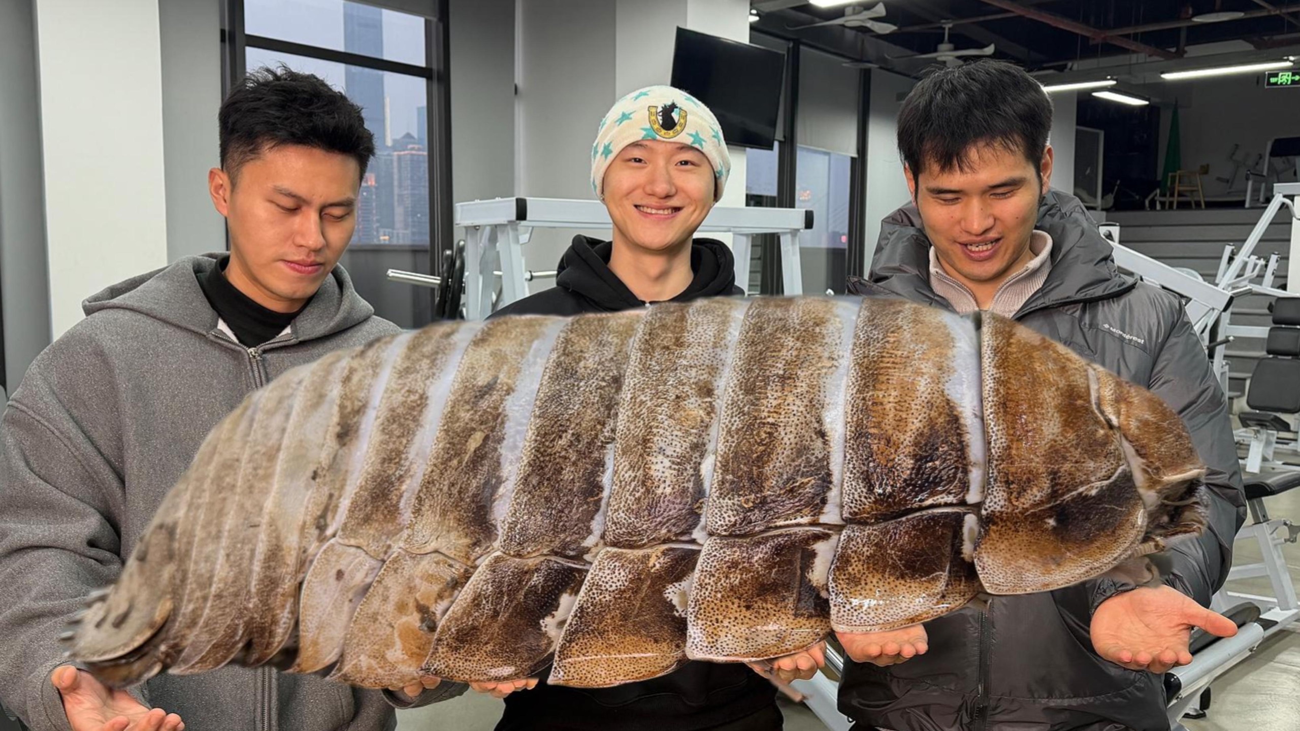 甜美的深海史前巨兽，震撼测评！