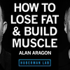 [双语]如何通过饮食实现减脂增肌 | Alan Aragon | huberman lab
